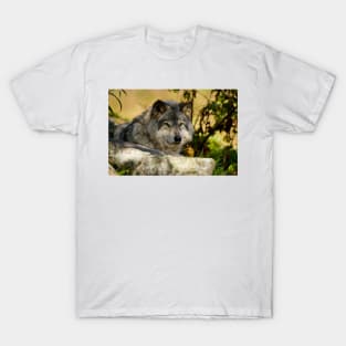 Gray Wolf T-Shirt